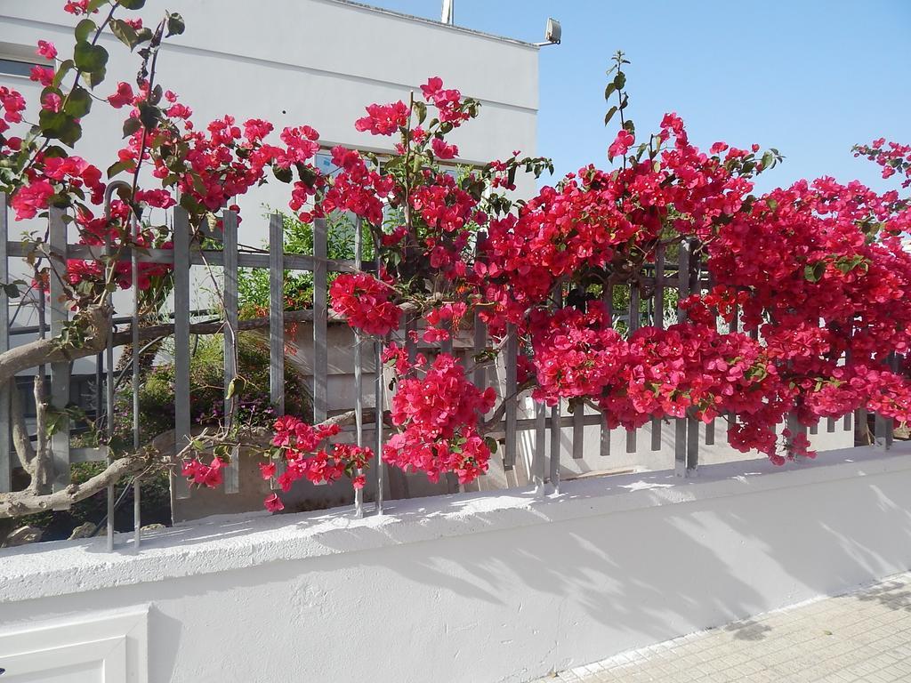 Hotel Monte Sant' Angelo Otranto Esterno foto